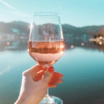 Panuts: Todo sobre los vinos rosados