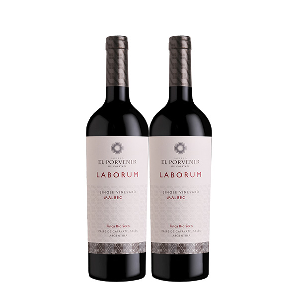 El Porvenir Laborum Single Vineyard Malbec 750 ml. x 2 Botellas