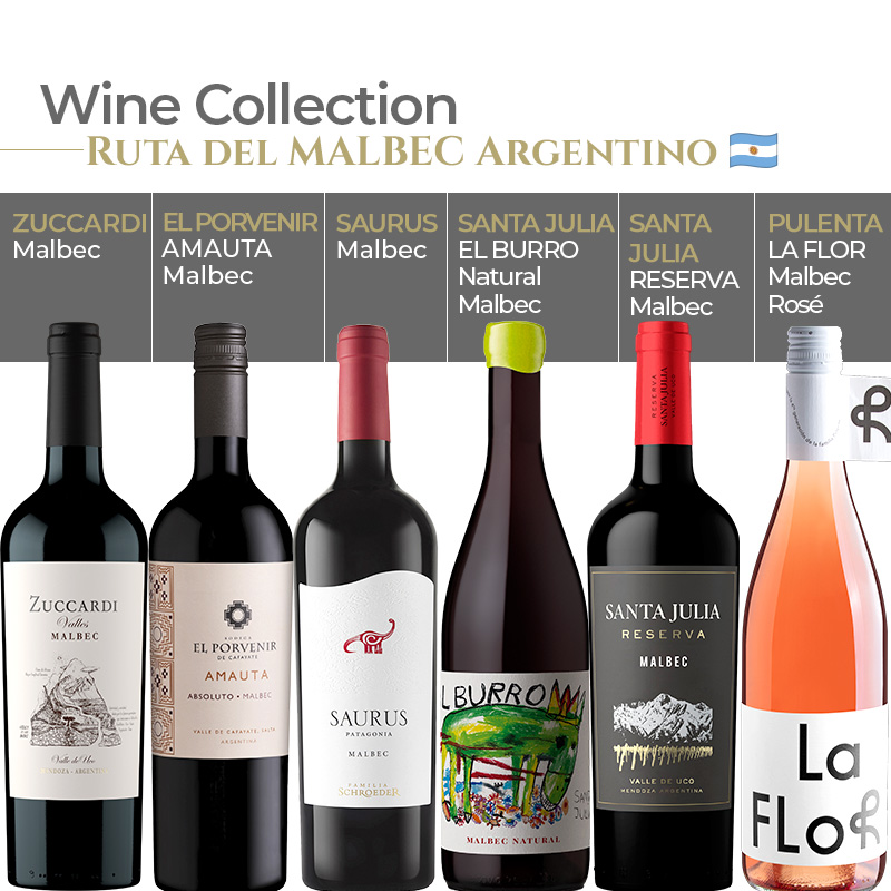 Wine Collection - Ruta del Malbec Argentino + REGALO: Sacacorchos Profesional