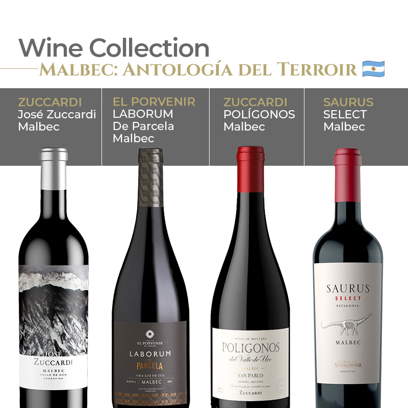 Wine Collection - Malbec: Antología del Terroir Argentino