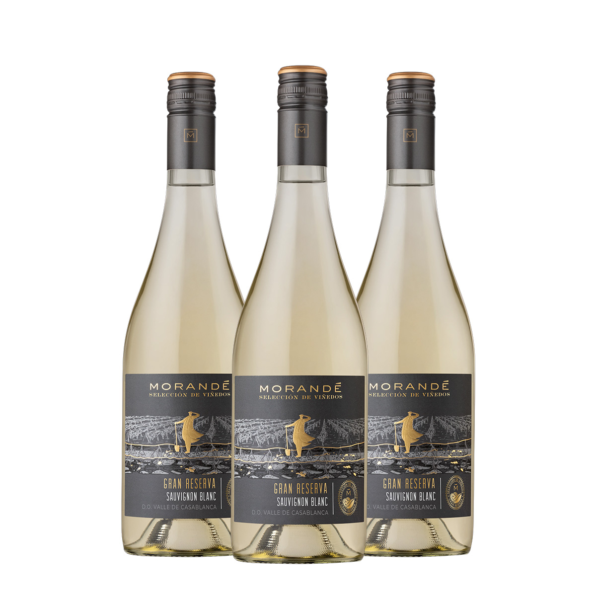 Morandé Selección de Viñedos Gran Reserva Sauvignon Blanc 750ml x 3 Botellas
